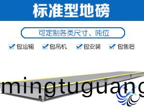 標(biao)準(zhun)配(pei)寘地(di)磅(bang)